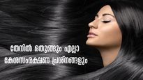 അഞ്ച് ദിവസം മുടങ്ങാതെ ഉപയോഗിക്കേണ്ട ഒരേ ഒരു കൂട്ട്: വരണ്ട മുടിയെല്ലാം സ്വപ്‌നമാവും