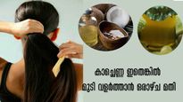 ആഴ്ചയില്‍ മൂന്ന് ദിനം ഈ കാച്ചെണ്ണ മാത്രം മതി: കഷണ്ടി മറഞ്ഞ് മുടി വളര്‍ത്തും