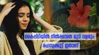 ഒരാഴ്ച ചെമ്പരത്തിയില്‍ ഉലുവ അരച്ച് തേക്കണം: കൈയ്യിലൊതുങ്ങാത്ത കട്ടിയില്‍ മുടി