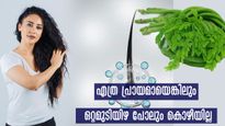 എത് പ്രായത്തിലും മുടി ഇനി പഴയതിലും സൂപ്പറായി വളരും, മുരിങ്ങ മാത്രം മതി