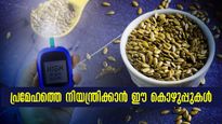 കൂടിയ പ്രമേഹത്തെ തളക്കും കൊഴുപ്പുകള്‍ ഇതാണ്: ആരോഗ്യവും ആയുസ്സും കൈക്കുള്ളില്‍