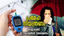  നനഞ്ഞ കാലും അണുബാധയും അത്യന്തം അപകടം; പ്രമേഹ രോഗികള്‍ക്ക് മഴക്കാലം ദുരിതകാലം