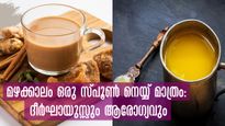 ആയുര്‍വ്വേദപ്രകാരം ദീര്‍ഘായുസ്സ് ഉറപ്പ് നല്‍കും മഴക്കാലത്തെ ഒരു സ്പൂണ്‍ നെയ്യ്