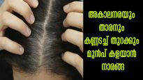  ഒരുമുടിയില്ലാതെ കറുപ്പാക്കും, വെളുത്ത മുടി ഇനിയില്ല: നാരങ്ങയില്‍ ഒറ്റമൂലി