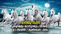 ജീവിതത്തില്‍ കുതിച്ച് മുന്നേറാനുള്ള ഊര്‍ജ്ജം; വാസ്തുപ്രകാരം ഉത്തമം 7 കുതിരയുടെ ചിത്രം