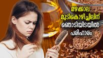 മഴക്കാല മുടികൊഴിച്ചിലിന് പരിഹാരം; മുടിക്ക് അമൃത് ഈ പായ്ക്ക്, കുറഞ്ഞ ഉപയോഗത്തില്‍ ഫലം