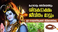 ആദിദേവ ശങ്കരന് പ്രിയപ്പെട്ടവ, ശ്രാവണത്തില്‍ ഈ 8 സാധനം വീട്ടിലെത്തിക്കൂ; ഭാഗ്യവും കൂടെക്കയറും