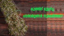 കുഞ്ഞിന് മുളപ്പിച്ച പയര്‍വര്‍ഗ്ഗങ്ങള്‍ നല്‍കാറുണ്ടോ? അറിയേണ്ടത് ഇതെല്ലാം