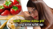 കരുത്തില്ലെങ്കില്‍ മുടി ചെറുപ്രായത്തിലേ കൊഴിയും; മുടിക്ക് ശക്തിയും കട്ടിയും ഉറപ്പ് നല്‍കും ഈ ഫ്രൂട്ട് മാസ്‌ക്