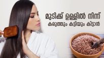 മുടിക്ക് ഉള്ളില്‍ നിന്ന് കരുത്തും ആരെയും മയക്കുന്ന ഭംഗിയും ഉറപ്പ്; ചണവിത്തും പിന്നെ ഈ കൂട്ടും