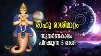 രാഹുവിന്റെ രാശിമാറ്റം; ഒക്ടോബര്‍ 29 മുതല്‍ ഉയര്‍ച്ചയുടെ പടവുകള്‍ കീഴടക്കുന്ന 5 രാശിക്കാര്‍