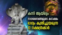 മിന്നിത്തിളങ്ങും ഭാഗ്യം; സര്‍പ്പപ്രീതി നേടി ജീവിതത്തില്‍ സര്‍വ്വസൗഭാഗ്യം കൈവരുന്ന 10 നക്ഷത്രക്കാര്‍