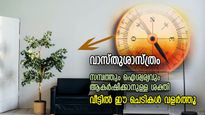 ധനവും ഐശ്വര്യവും വീട്ടില്‍ കുന്നുകൂടും; ഈ ചെടികള്‍ വീട്ടിനുള്ളില്‍ വച്ചാല്‍ നടക്കുന്നത്‌ ആത്ഭുതം