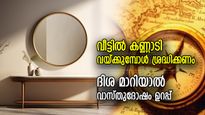 വീട്ടില്‍ തോന്നിയ സ്ഥലത്ത് കണ്ണാടി വയ്ക്കരുത്; വാസ്തുപ്രകാരം ഈ ദിശ നല്ലത്‌, ഇത് ദോഷം