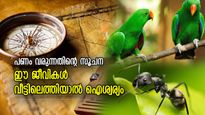 ഐശ്വര്യത്തിന്റെ ശുഭസൂചനകള്‍, ഈ ജീവികള്‍ വീട്ടിലെത്തിയാല്‍ ഒപ്പം വരും ഭാഗ്യവും ധനനേട്ടവും