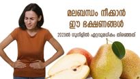 മലബന്ധം പ്രശ്‌നമാകുമ്പോള്‍.. 2023ല്‍ മലബന്ധ പരാഹമായി ഗൂഗിളില്‍ തിരഞ്ഞ ഡയറ്റുകള്‍
