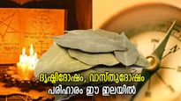 ദൃഷ്ടിദോഷം, വാസ്തുദോഷം ഏഴയലത്ത് അടുക്കില്ല; ദോഷങ്ങള്‍ മാറാന്‍ ഈ ഒരു ഇല മതി