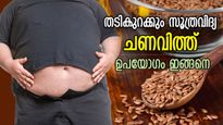പൊണ്ണത്തടി പിടിച്ചുകെട്ടിയപോലെ കുറയും, ഈ കുഞ്ഞന്‍ വിത്താണ് തടി കുറക്കാനുള്ള ഔഷധം