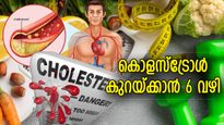  അമിത കൊളസ്‌ട്രോള്‍ ശരീരത്തിന് വില്ലന്‍; കൊളസ്‌ട്രോള്‍ പിടിച്ചുകെട്ടാന്‍ ശീലിക്കേണ്ട 6 കാര്യങ്ങള്‍