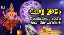 ഇല്ലായ്മയില്‍ നിന്ന് കരകയറും; ചൊവ്വയുടെ ഉദയം, 12 രാശിക്കും ജീവിതത്തില്‍ മാറ്റം