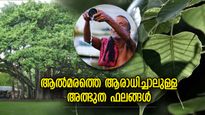 സമ്പത്ത്, പ്രതാപം, സല്‍കീര്‍ത്തി.. ജീവിതം മാറിമറിയും; ആല്‍മരത്തെ ആരാധിച്ചാലുള്ള അത്ഭുത ഫലങ്ങള്‍