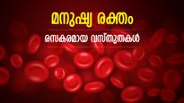 ജീവന്റെ തുടിപ്പ് ഓരോ തുള്ളിയിലും; മനുഷ്യ രക്തത്തെക്കുറിച്ചുള്ള രസകരമായ വസ്തുതകള്‍