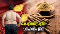 കൊളസ്‌ട്രോളിലെ പിടിച്ചുകെട്ടാന്‍ ആയുര്‍വേദക്കൂട്ട്; അശ്വഗന്ധ ഉപയോഗം ഇങ്ങനെ