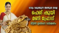 സമ്പത്ത് കൊണ്ടുവരും ഫെങ് ഷുയി വിദ്യ; മണി ഫ്രോഗ് വീട്ടില്‍ ഈ ദിശയില്‍ വയ്ക്കൂ