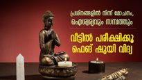 വീട്ടില്‍ ഭാഗ്യം നിറയ്ക്കും ചൈനീസ് വാസ്തുവിദ്യ; ജീവിതത്തില്‍ ഐശ്വര്യത്തിന് ഫെങ് ഷുയി ടിപ്‌സ്‌