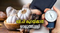 എത്ര കൂടിയ ബി.പിയും പെട്ടെന്ന് കുറയ്ക്കും, വെളുത്തുള്ളി ഒരു മരുന്ന്; ഉപയോഗം ശ്രദ്ധിച്ച് മതി