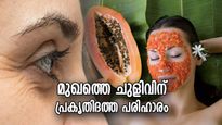 30നു മുമ്പേ മുഖത്ത് ചുളിവ് വീണോ? ഈ വീട്ടുവൈദ്യത്തിലുണ്ട് സൗന്ദര്യം കൂട്ടുന്ന മാജിക്‌