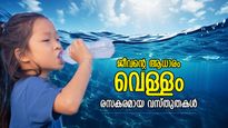 നശിപ്പിക്കാനാവാത്ത ശക്തി, ജീവന്റെ ആധാരം; ജലത്തെക്കുറിച്ചുള്ള അതിശയകരമായ വസ്തുതകള്‍
