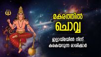 ചൊവ്വ ഉന്നത രാശിയായ മകരത്തില്‍; മാര്‍ച്ച് 15 വരെ ആഢംബരജീവിതം നയിക്കുന്ന രാശിക്കാര്‍