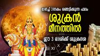 ജീവിതത്തില്‍ ഗംഭീര നേട്ടങ്ങള്‍, ശുക്രന്‍ മീനത്തില്‍; ഒരുമാസത്തിനുള്ളില്‍ ശുക്രദശ തെളിയുന്ന 3 രാശിക്കാര്‍