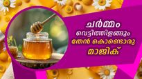 ആലിയ ഭട്ടിന്റെ ബ്യൂട്ടി സീക്രട്ട് : ചര്‍മ്മ സൗന്ദര്യം സംരക്ഷിക്കാന്‍ തേന്‍ ഇങ്ങനെ ഉപയോഗിക്കാം