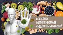 വേനലില്‍ വാടിത്തളരും ശരീരം, ശക്തമായ പ്രതിരോധശേഷിക്ക് കഴിക്കണം ഈ സാധനങ്ങള്‍