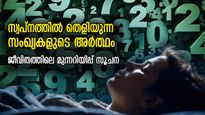 സ്വപ്‌നത്തിലെ സംഖ്യകള്‍ക്ക് അര്‍ത്ഥമേറെ, വരുകാല ജീവിതത്തിലെ മുന്നറിയിപ്പ് ലക്ഷണം 