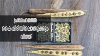  വിട്ടുമാറാത്ത പ്രമേഹമെങ്കില്‍ ഈ ഒരു പരിഹാരം അവസാനവഴി