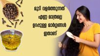 ഇവ കഴിച്ചാല്‍ മുടി പെട്ടെന്ന് വളരുകയില്ല: പക്ഷേ വളരാന്‍ തുടങ്ങിയാല്‍ പിന്നെ കുറയില്ല