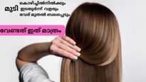 മുടിയുടെ സര്‍വ്വ പ്രശ്‌നങ്ങള്‍ക്കുമുള്ള ഒറ്റമൂലി ഇവിടെയുണ്ട്; മുടി കൊഴിച്ചില്‍ തടയാം, നീണ്ട മുടി നേടാം
