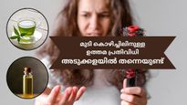 മുടി കൊഴിച്ചില്‍ കുറയുമെന്ന് ഉറപ്പ്; ഈ മൂന്ന് ഒറ്റമൂലികളും അഞ്ചുമിനിറ്റില്‍ വീട്ടില്‍ തന്നെ തയ്യാറാക്കാം