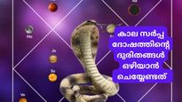 ഒഴിയാതെ ദുരിതം: ജീവിതത്തില്‍ കരിനിഴലായി കാല സര്‍പ്പ ദോഷം, പരിഹാരം ഇതാണ്