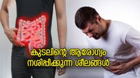 ഉദരാരോഗ്യം നശിച്ചാല്‍ പഞ്ചറാകും മൊത്തം ശരീരം; കുടലിന്റെ ആരോഗ്യം വഷളാക്കും ഈ ശീലങ്ങള്‍