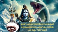 1000 കിലോ ഭാരം, 15 അടി നീളം; ലോകത്തിലെ ഏറ്റവും വലിയ പാമ്പ് വാസുകിയുടെ ഫോസില്‍ കണ്ടെത്തി
