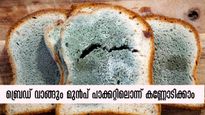 ബ്രെഡ് വാങ്ങുമ്പോള്‍ പാക്കറ്റിലൊന്ന് കണ്ണോടിക്കൂ: ആയുസ്സെടുക്കുമോ എന്ന് മുന്നേയറിയാം