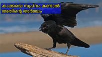 രാവിലെ കാക്കയെ കാണുന്നത് ദുശ്ശകുനമാണോ? ഭാവിയെ കുറിച്ച് കാക്ക നല്‍കുന്ന സൂചനകള്‍