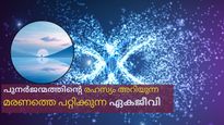 അമരത്വത്തിന്റെ രഹസ്യം ഈ ജീവിയിലുണ്ട്, മരണത്തെ പറ്റിച്ച് ശൈശവത്തിലേക്ക് തിരിച്ചെത്തി പുനര്‍ജന്മം