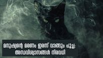  പൂച്ചയുടെ മരണം ചില ദു:ശ്ശകുനമോ: ലോകമെങ്ങും നിലനില്‍ക്കുന്ന ആ വിശ്വാസം