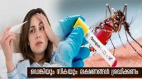മഴ ശക്തം: ഡെങ്കിപ്പനിയോടൊപ്പം സിക വൈറസും എത്തുമ്പോള്‍: ലക്ഷണങ്ങള്‍ നിസ്സാരമല്ല