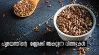 ഹൃദയ ധമനികളിലെ ബ്ലോക്കും സങ്കീര്‍ണതകളും അകറ്റും 4 വിത്തുകള്‍